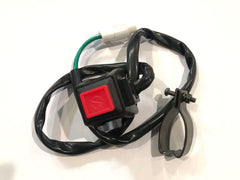 Electric Start Button