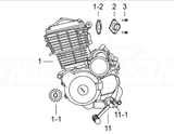 3718 | TSX230 Engine Complete Assembly | EG1